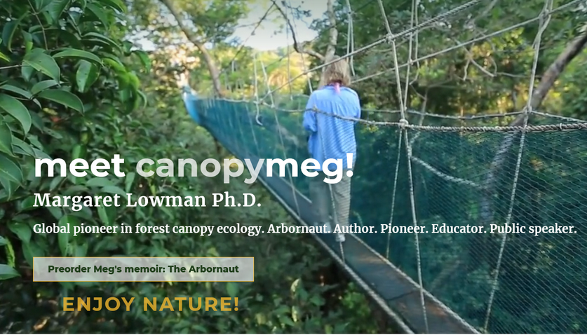 canopymeg website capture